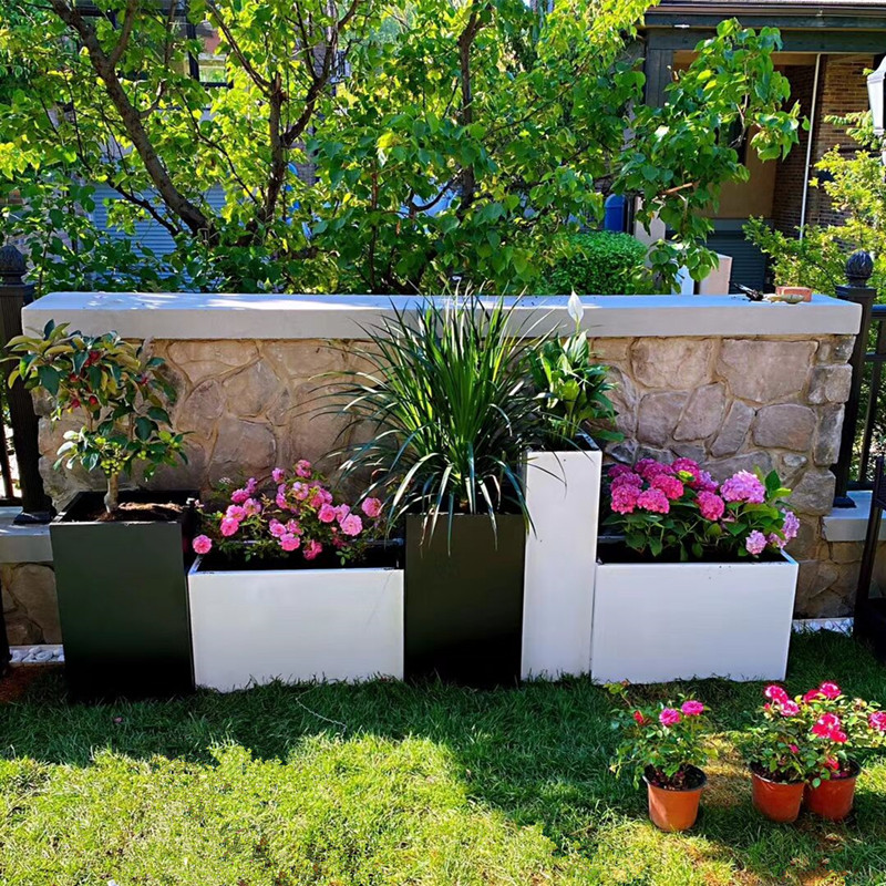 绿植租赁-植物租赁-绿植租赁公司-上海雅腾绿化有限公司